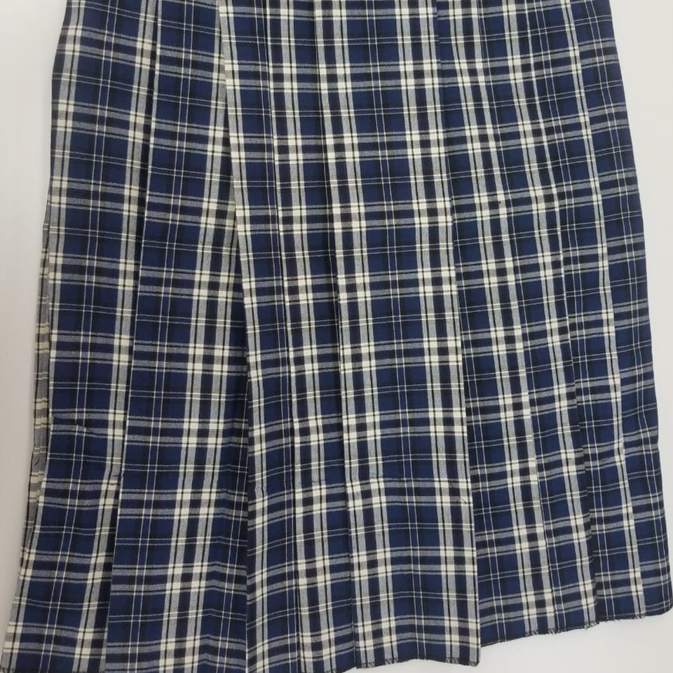 Diego Martin North Secondary School Skirt