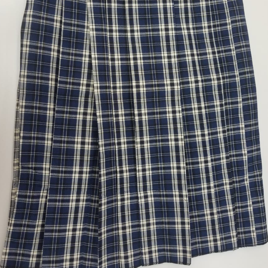 Diego Martin North Secondary School Skirt – Bradford Trading Limited