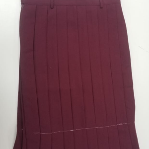 Mucurapo East Secondary School Skirt